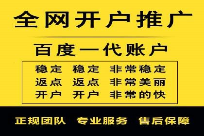 百度推广成功案例：打造行业领军品牌之路