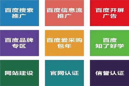案例解析：专业竞价推广代运营团队实操